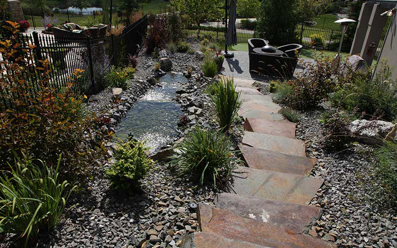 Fish Pond with a Stone Path